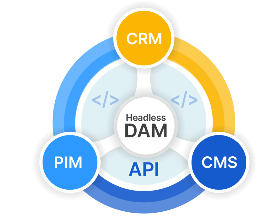 headless dam eco system