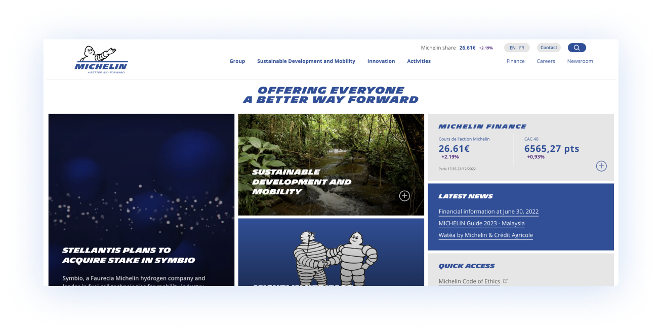 Client Scaleflex - Exemple de site web Michelin