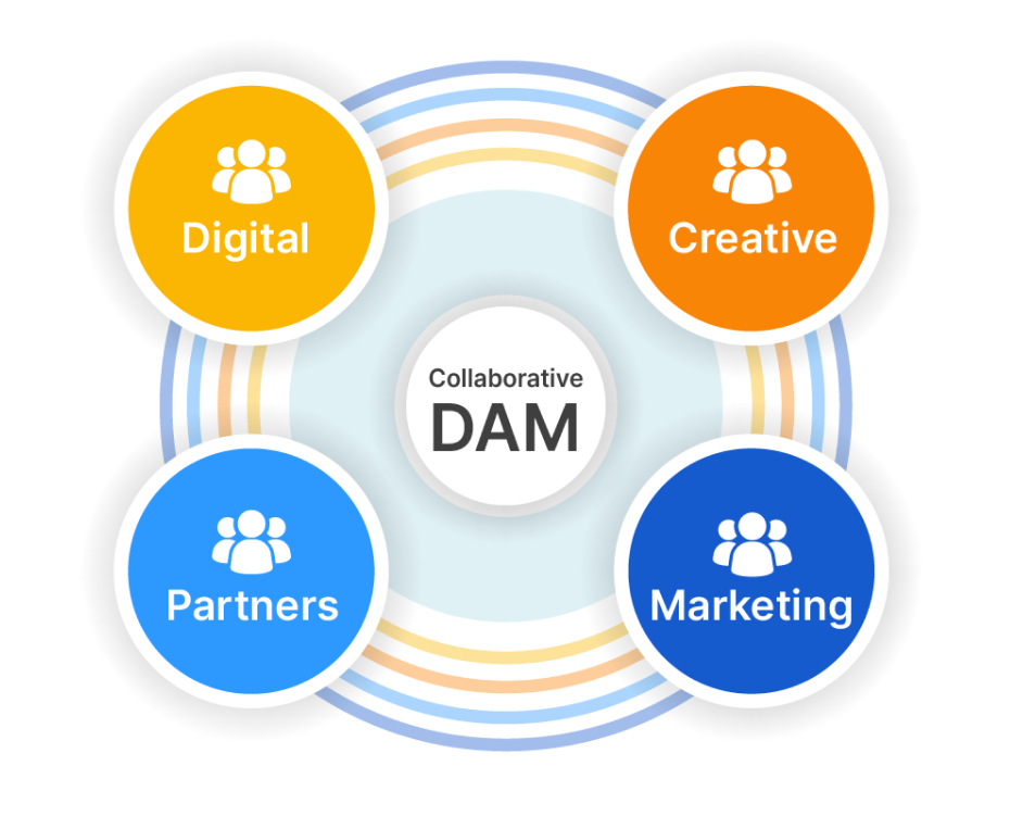collaborative dam eco-system