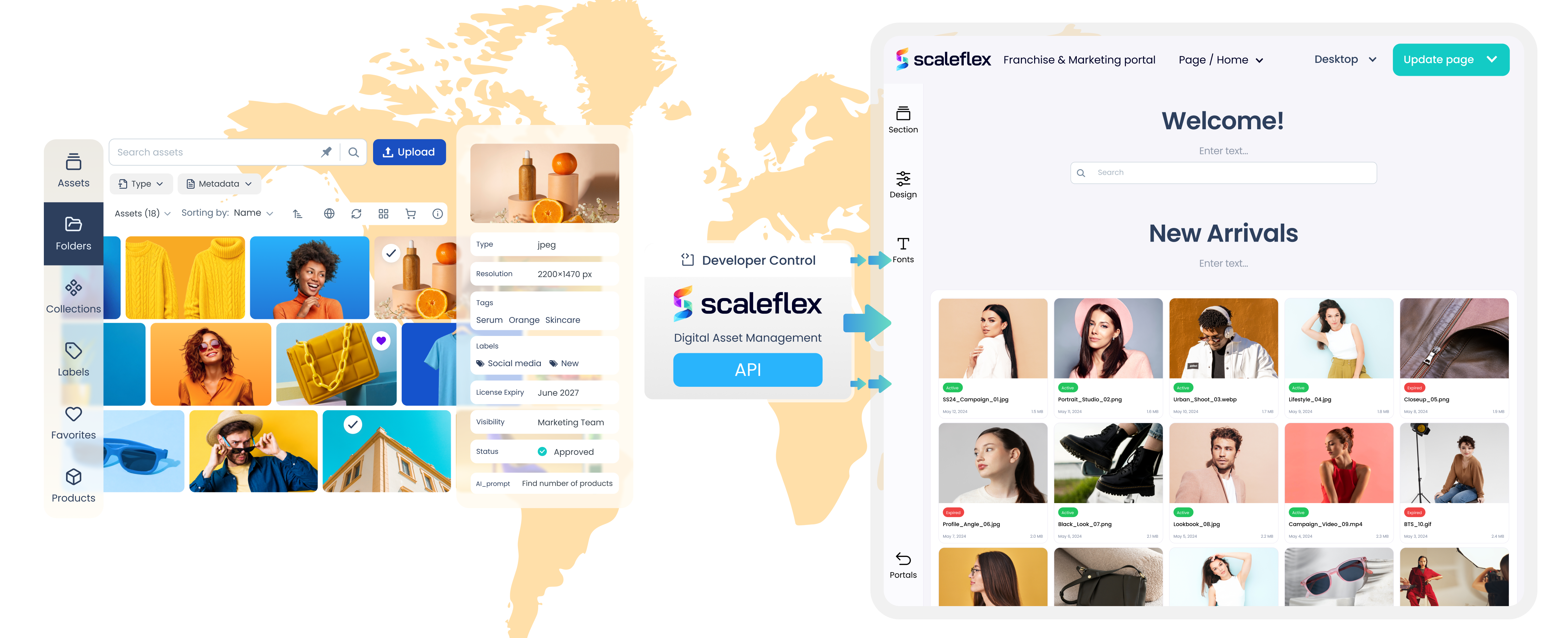 scaleflex visual experience platform as single source of truth for brand consistency